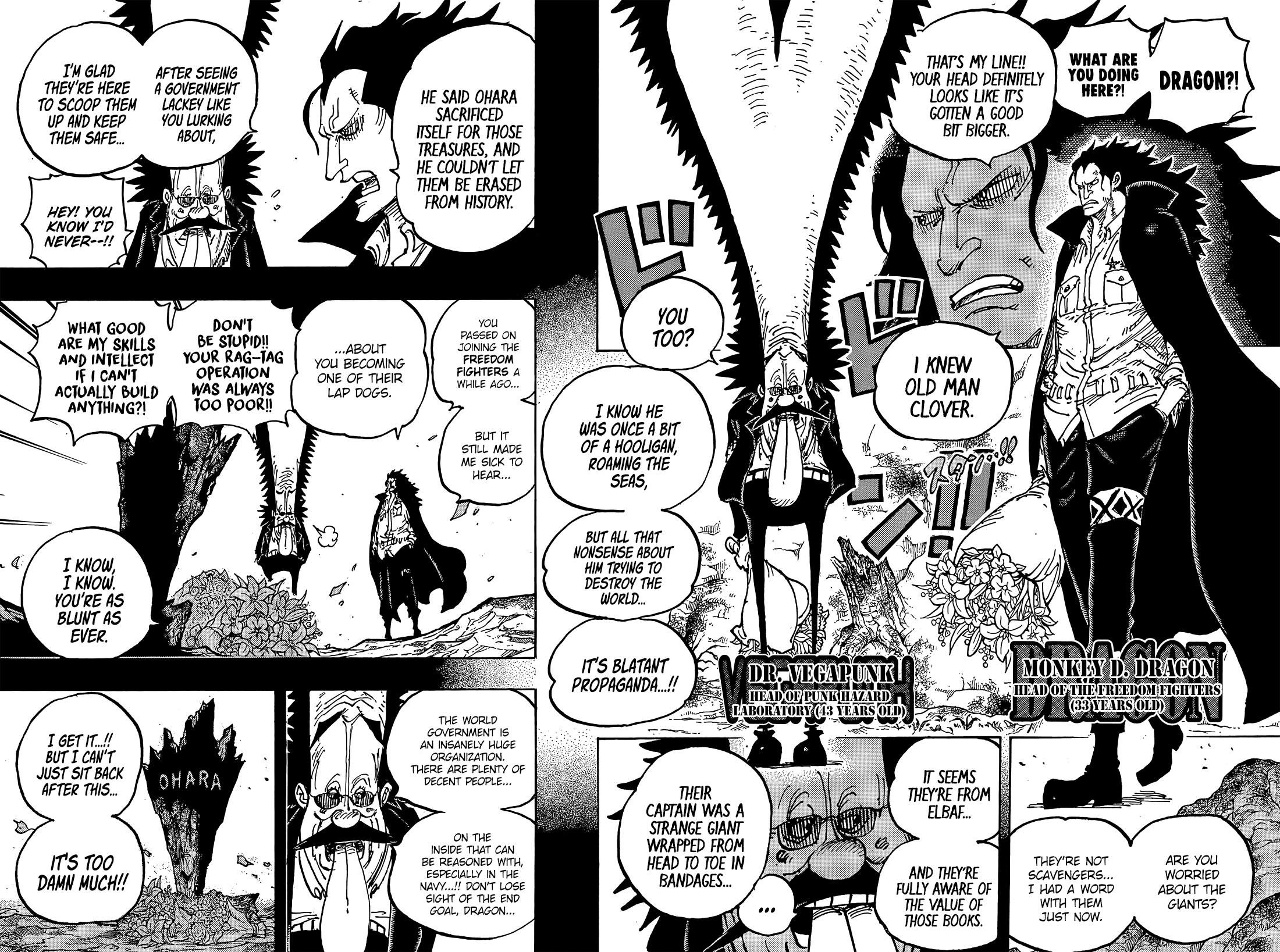 One Piece Chapter 1066 11